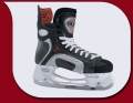 ice hnl